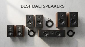 best dali speakers