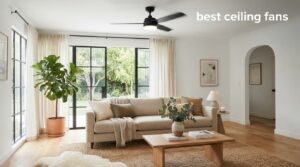 best ceiling fans