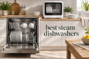 best steam dishwashers