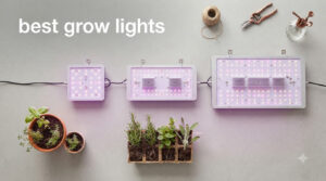 best grow lights