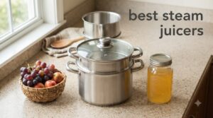 best steam juicers