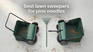 best lawn sweepers for pine needles