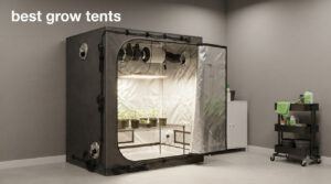 best grow tents
