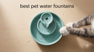 best pet water fountains