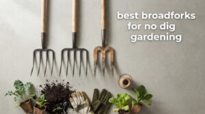 best broadforks for no dig gardening