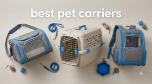 best pet carriers