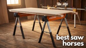best saw horses