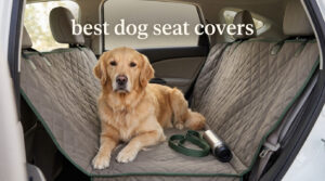best dog seat covers