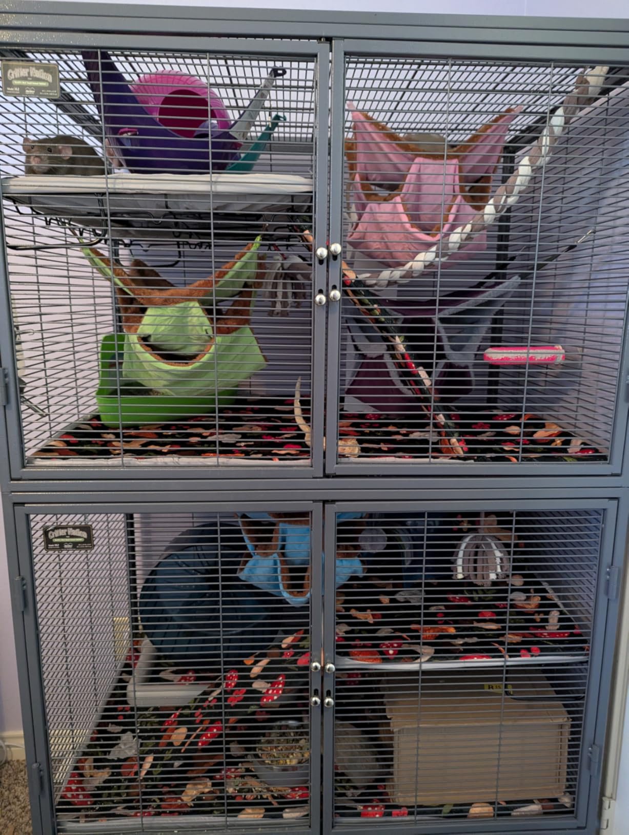Critter Nation by MidWest Double Unit Small Animal Cage customer photo 2