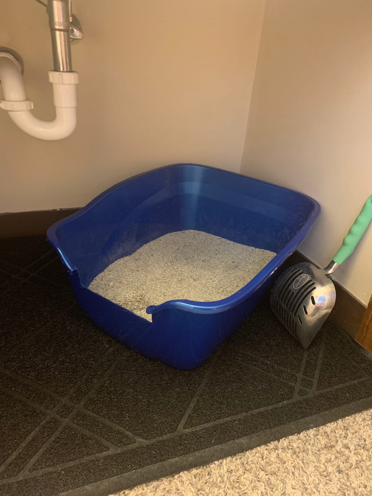 Pureness Giant High Sides Cat Litter Pan, Colors may Vary. customer photo 1