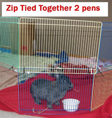 Prevue Pet Products Multi-Color Small Pet Playpen - Multi-Color customer photo 1