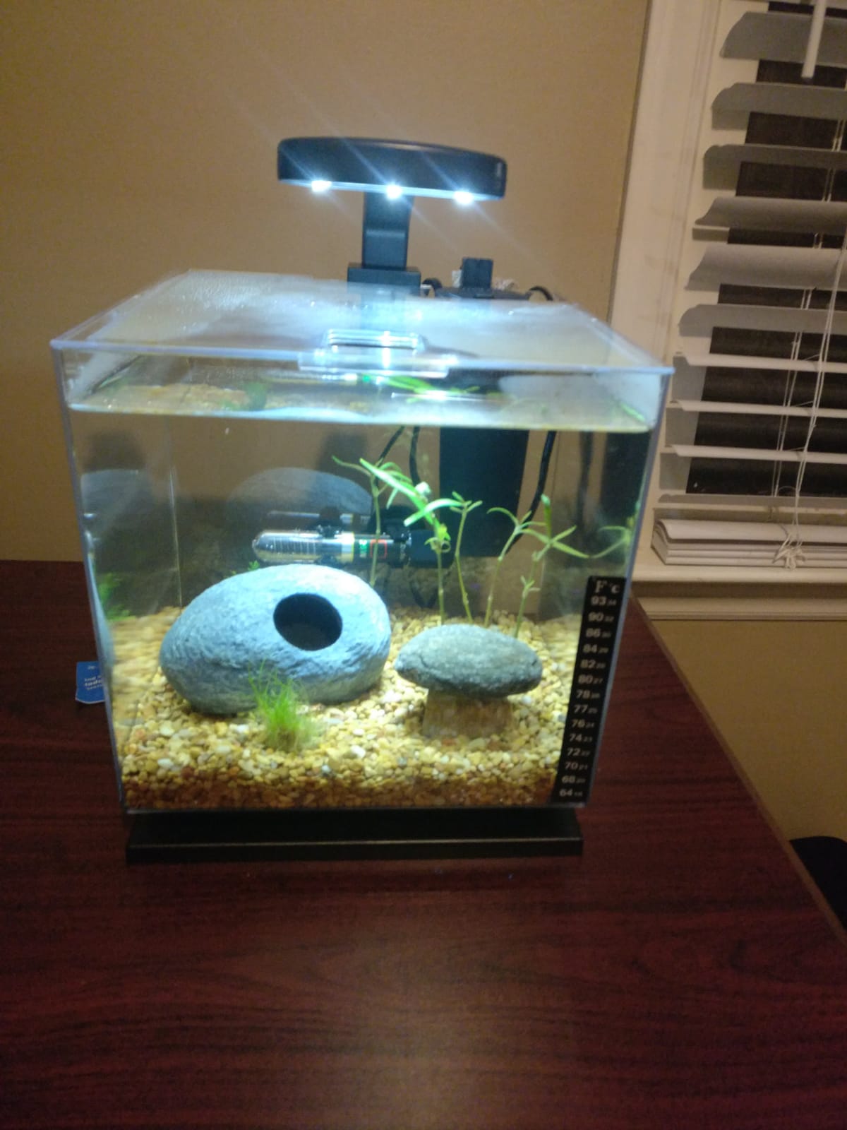 Tetra Cube Starter 3 Gallon Fish Tank Kit for Small Freshwater Fish customer photo 1