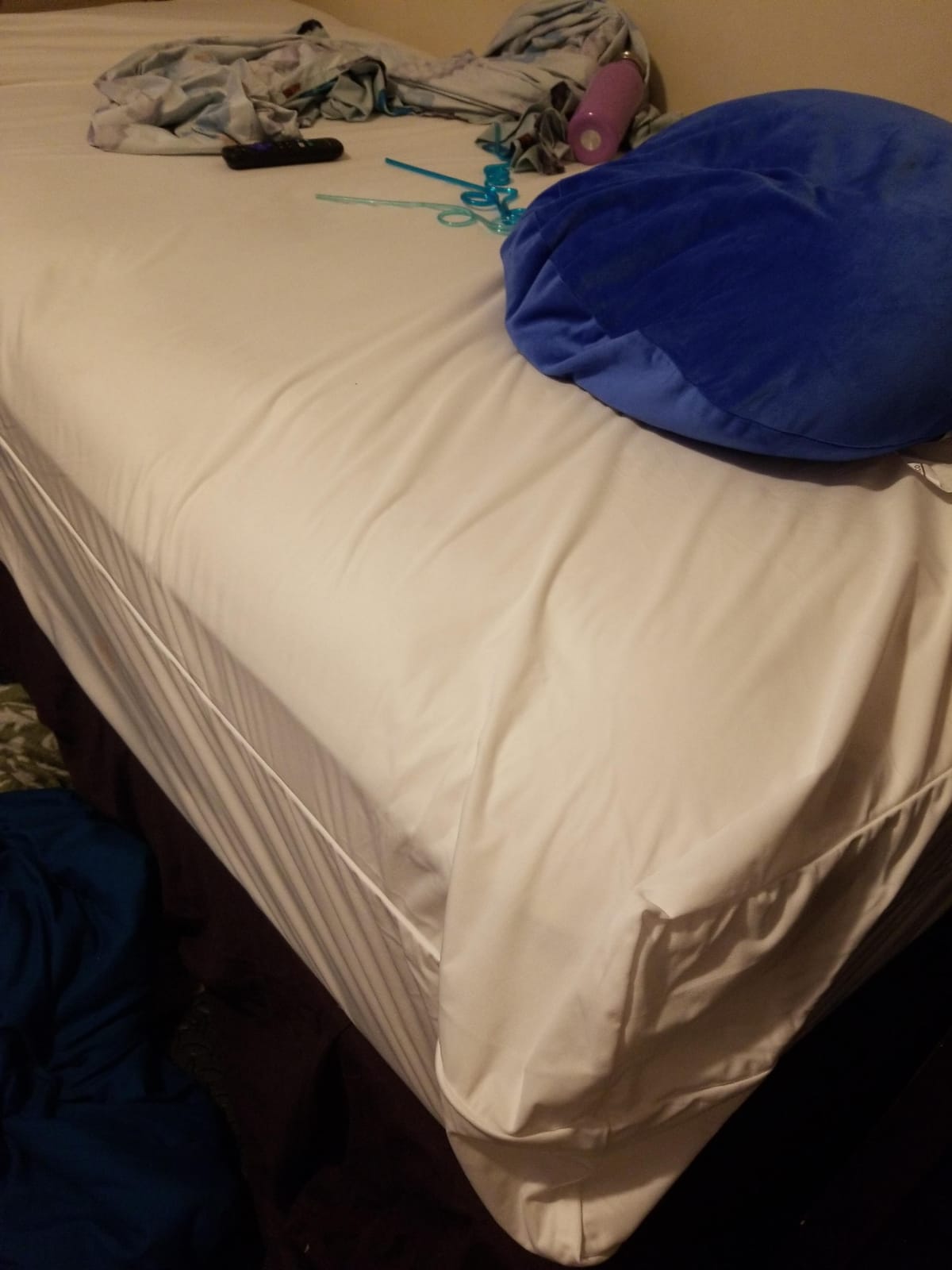 Guardmax Queen Mattress Protector Zippered, Bed Bug Mattress Cover customer photo 2