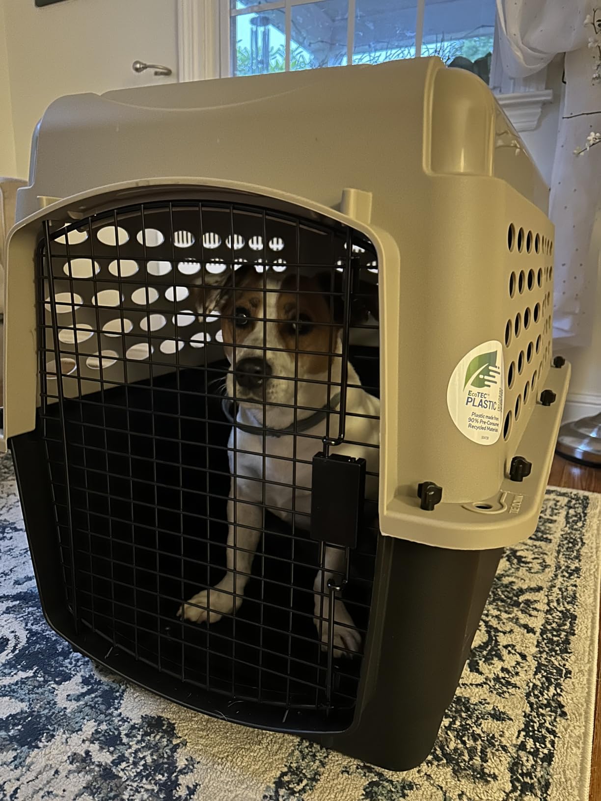 Petmate Vari Dog Kennel, Carrier, 10 to 20lbs, 24in, Taupe and Black customer photo 1