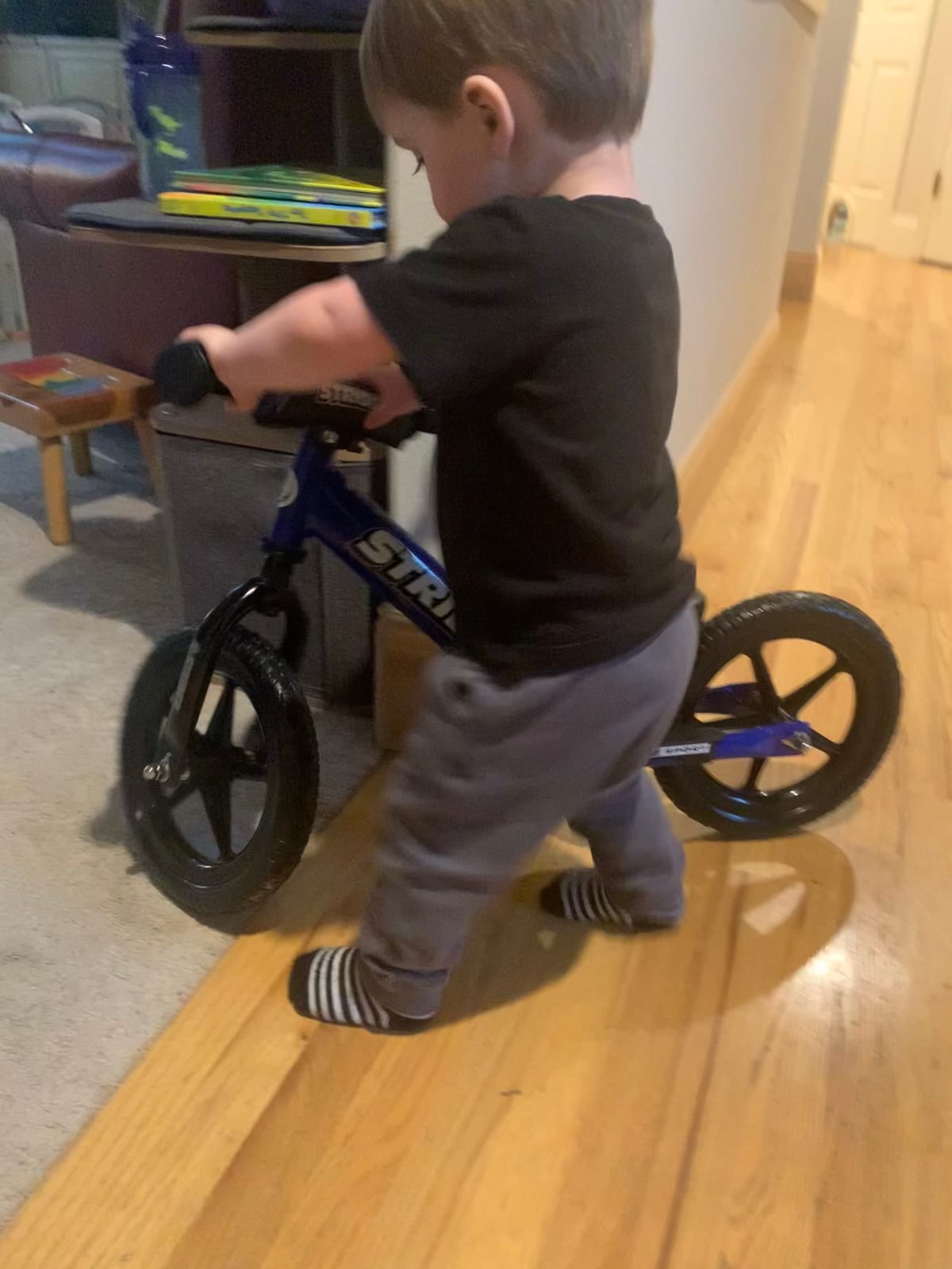Strider 12 Sport, No Pedal Balance Bike for Kids Ages 1–4 Years, Pink customer photo 1