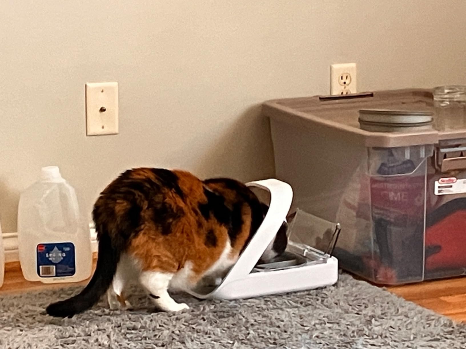 Sure Petcare -SureFlap - SureFeed - Microchip Pet Feeder - Selective-Automatic Pet Feeder Makes Meal Times Stress-Free, Suitable for Both Wet and Dry Food - MPF001 customer photo 2