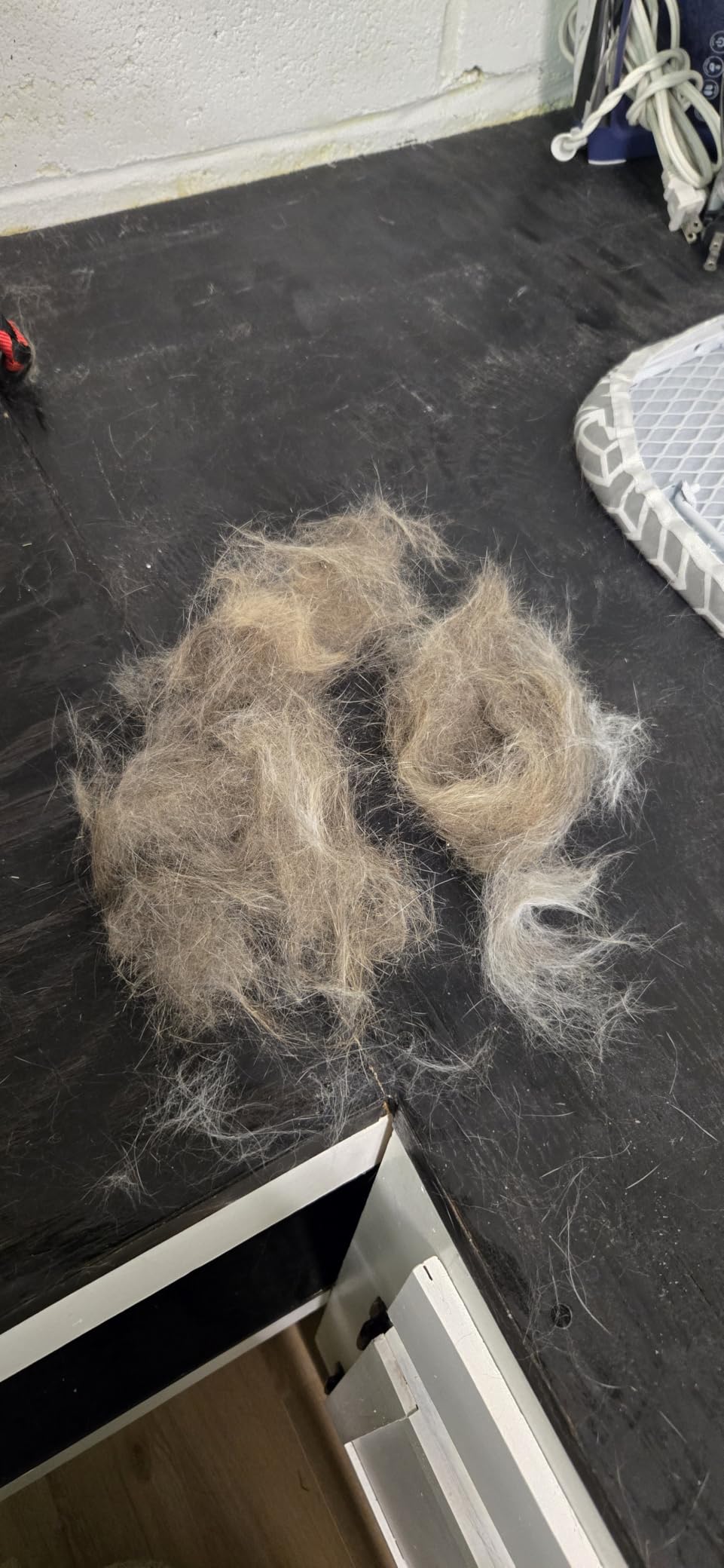 SleekEZ Cat Brush for Shedding - Deshedding Brush for Cats - Patented Grooming Tool for Removing Loose Fur, Undercoat & Hair - Made in USA - Works on Short, Medium & Long Coats customer photo 1