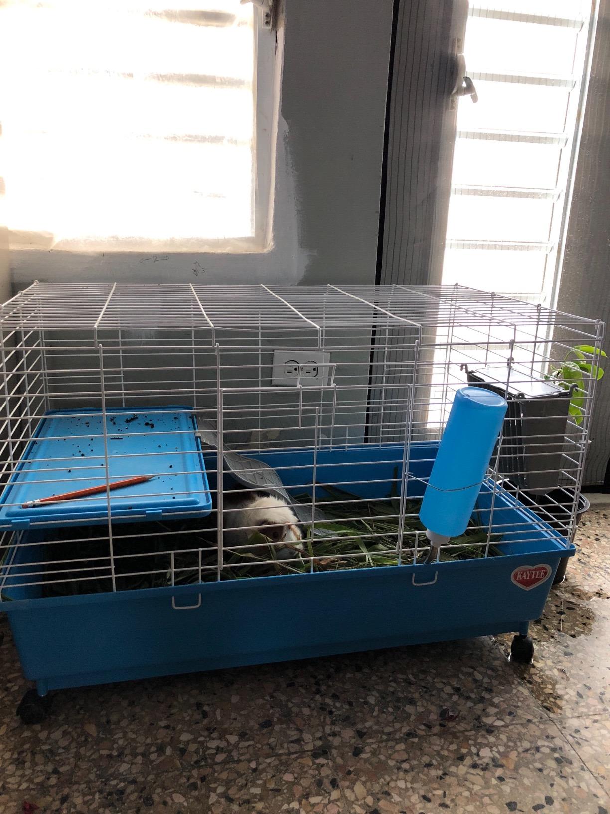 Kaytee Deluxe 2-Level Habitat for Pet Guinea Pigs customer photo 2