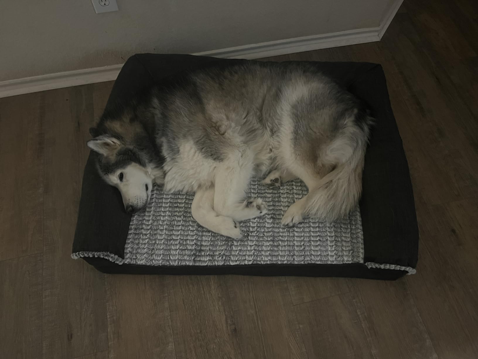 Furhaven Orthopedic Dog Bed for Large Dogs w/ Removable Bolsters & Washable Cover, For Dogs Up to 95 lbs - Plush & Suede Sofa - Gray, Jumbo/XL customer photo 2