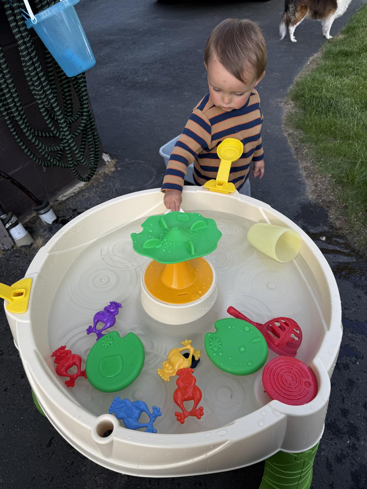 Little Tikes Frog Pond Water Table, 24 months to 36 months customer photo 2