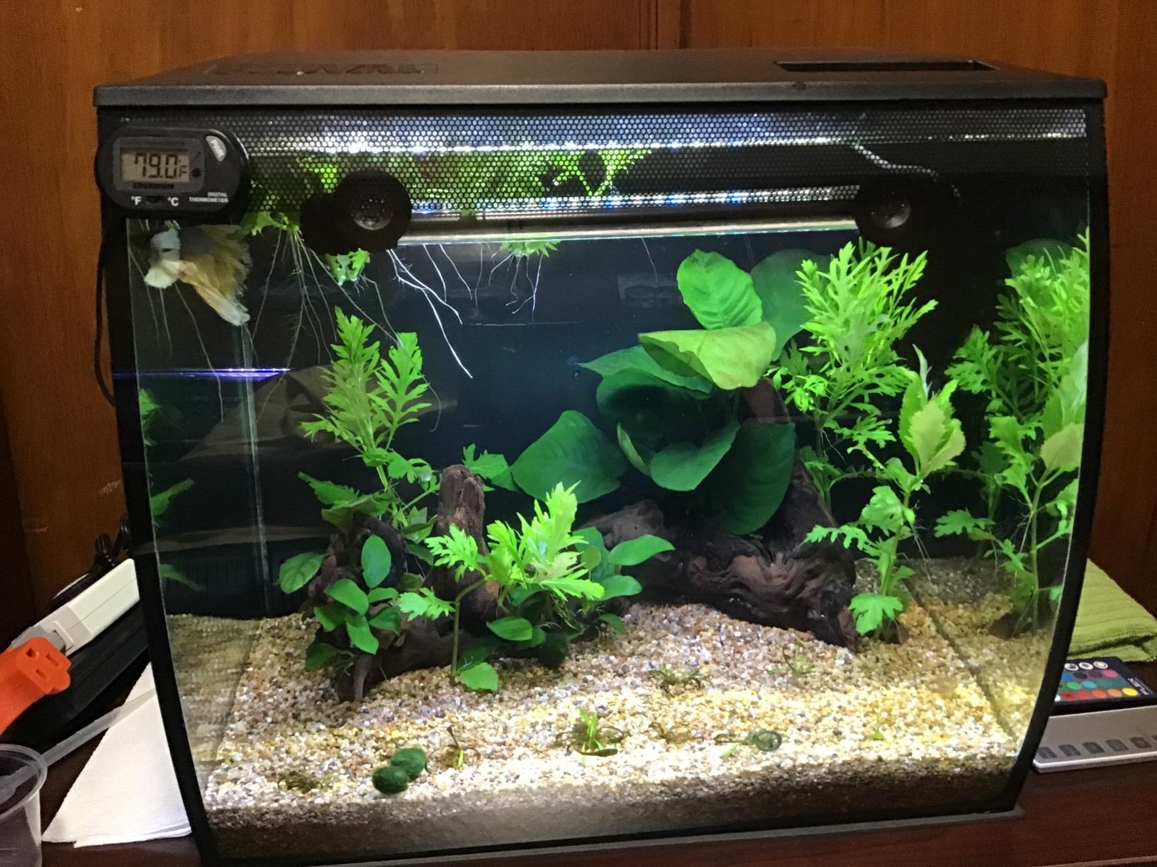 Fluval Flex 9 Gallon Glass Aquarium Kit, Black customer photo 1