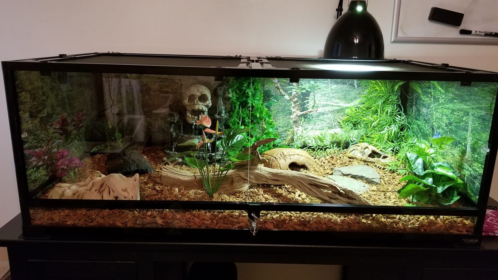 36Lx18Wx18H Reptile Terrarium, 50 Gallon Reptile Tank customer photo 2