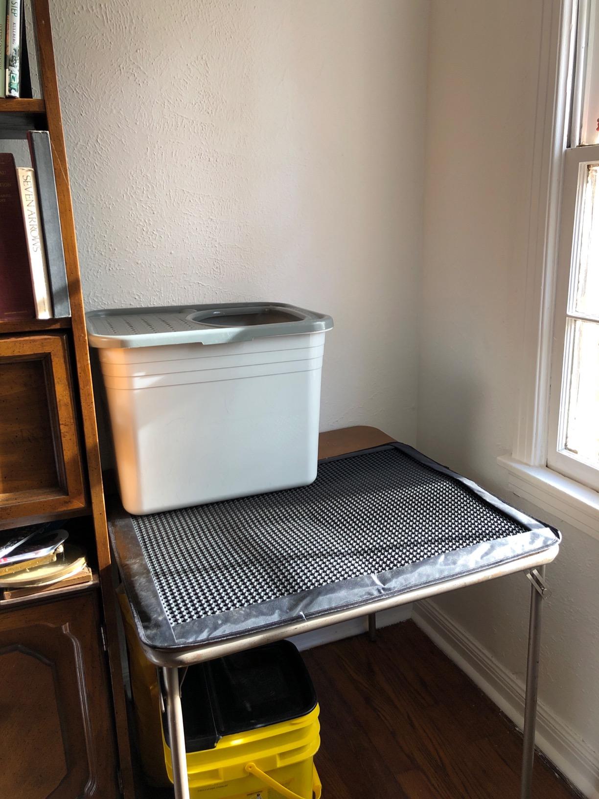 Arm & Hammer Premium Top Entry Litter Box with Filter to Clean Paws and Microban, Made in USA customer photo 1