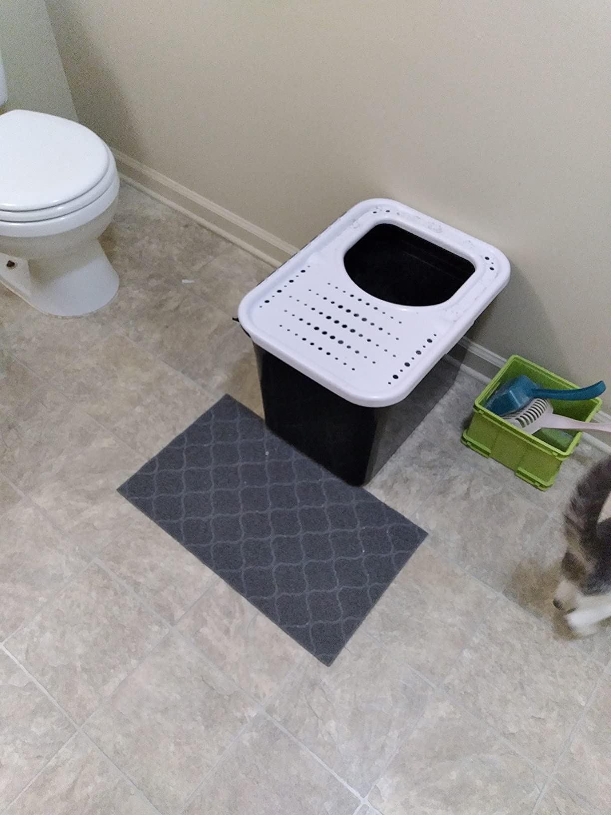 Arm & Hammer Premium Top Entry Litter Box with Filter to Clean Paws and Microban, Made in USA customer photo 2