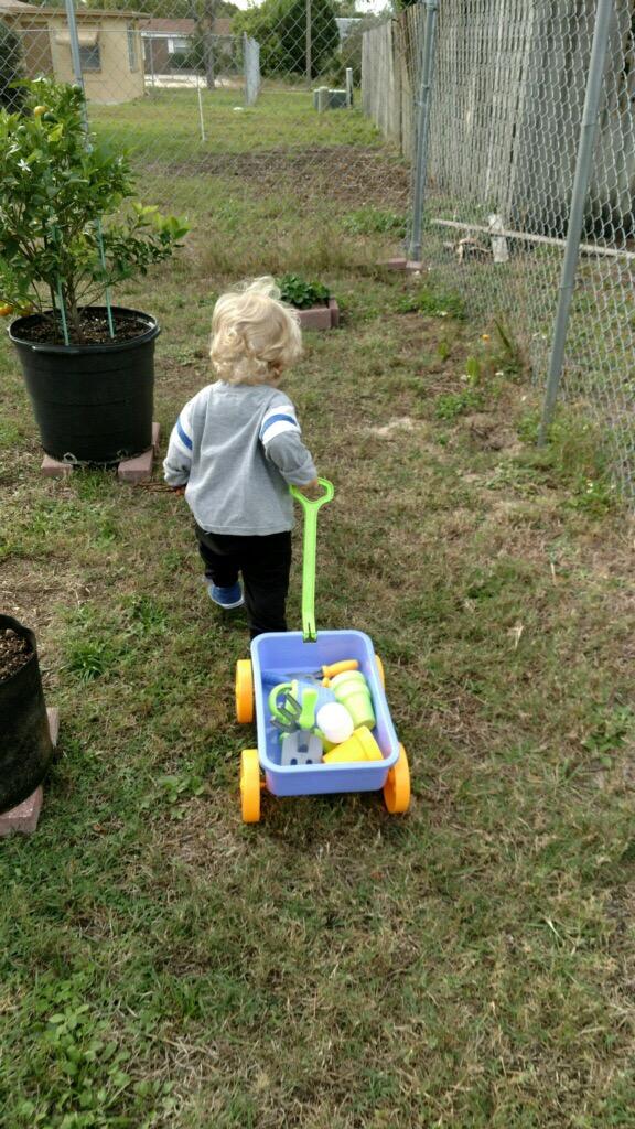 Dimple Garden Wagon & Tools Toy Set, Kids Gardening Set, Sturdy & Durable customer photo 1