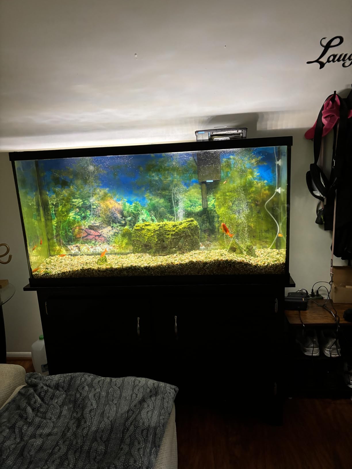 Laifoo 5ft Aquarium Siphon Vacuum Cleaner for Fish Tank Cleaning Gravel & Sand customer photo 2