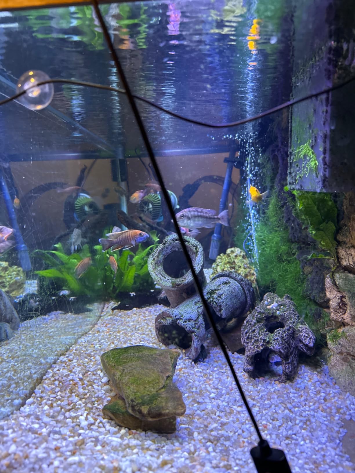 Aqueon QuietFlow Canister Aquarium Filter, Up to 150 Gallons (ECOM) customer photo 1
