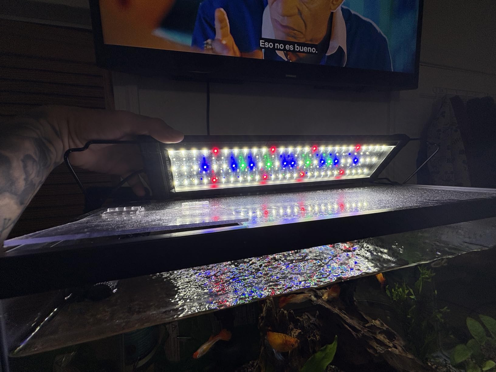 NICREW ClassicLED Plus LED Aquarium Light, 21W, for 30 to 36 Inch Fish Tank customer photo 1