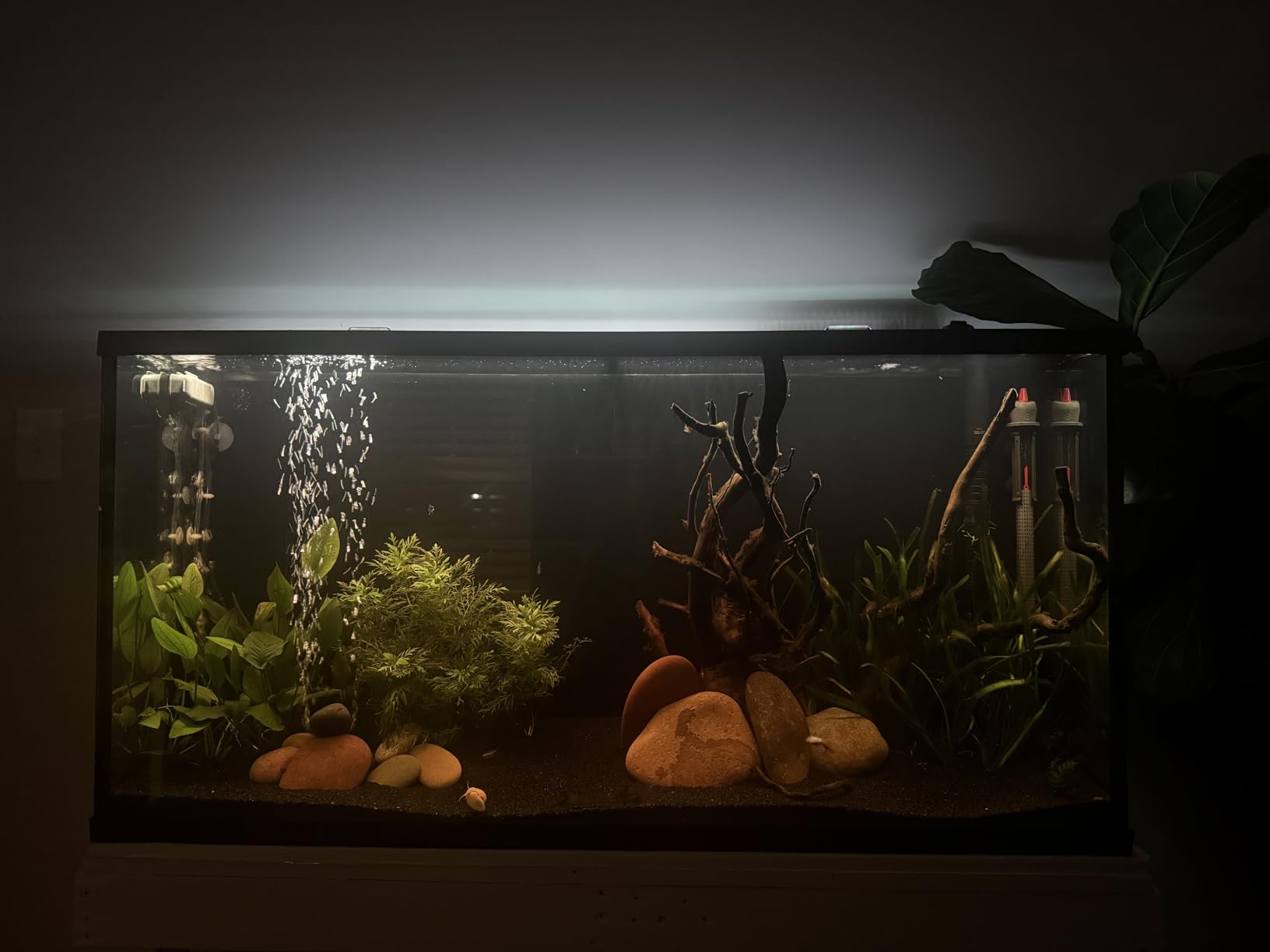 NICREW ClassicLED Plus LED Aquarium Light, 21W, for 30 to 36 Inch Fish Tank customer photo 2