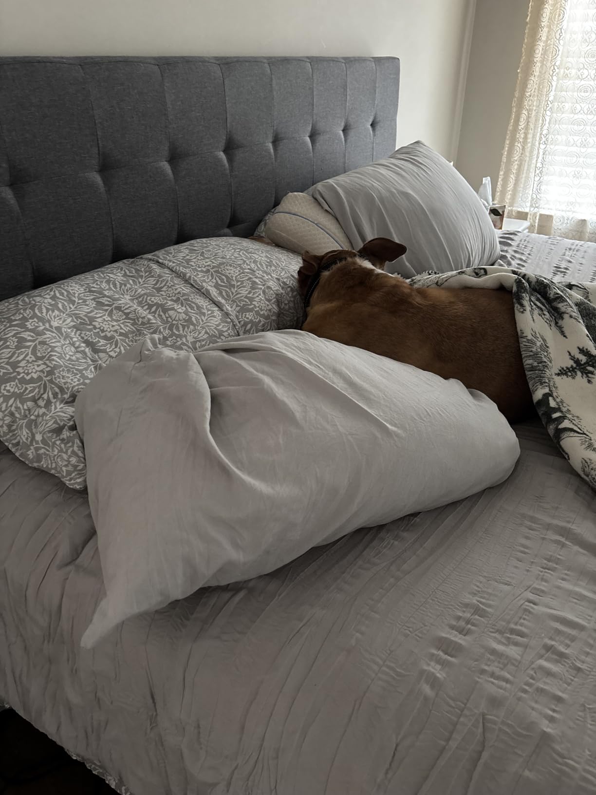 Amazon Basics Faux Linen Upholstered Tufted Headboard with Adjustable Height, King, Gray customer photo 2