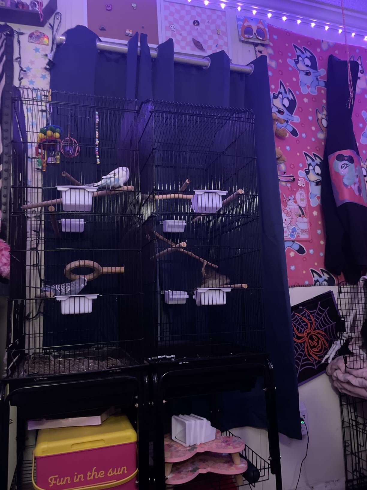 SUPER DEAL 63 Rolling Bird Cage Large Wrought Iron Cage for Cockatiel Sun Conure Parakeet Finch Budgie Lovebird Canary Medium Pet House with Rolling Stand & Storage Shelf customer photo 2