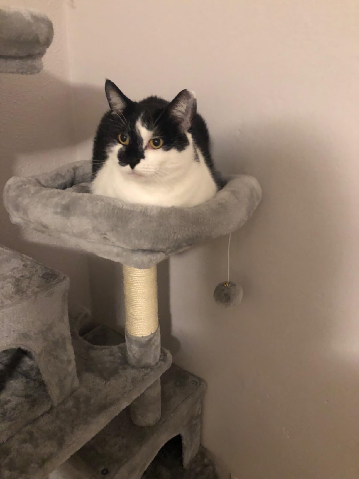 Hey-brother Cat Tree Tower with Sisal Scratching Posts, Big Condo, MPJ020W customer photo 1