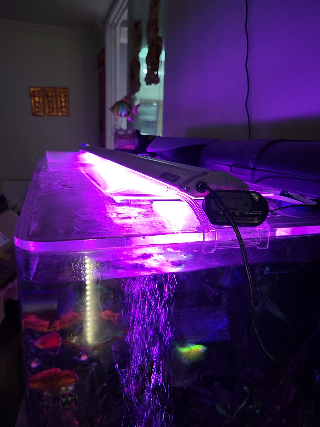 Finnex Planted Plus True 24/7 + HLC Aquarium LED Light, Automated Full Spectrum Fish Tank Light, True 660nm Deep Red Plant LEDs, 30 Inch, (HLC-30) customer photo 2