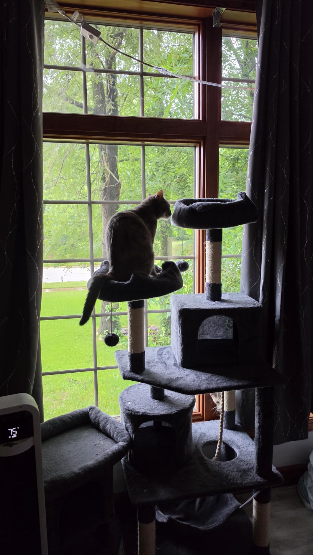 Yaheetech 62.5in Tall Cat Tree w/2 Cat-Ear Perches & 2 Condos, Dark Gray customer photo 2