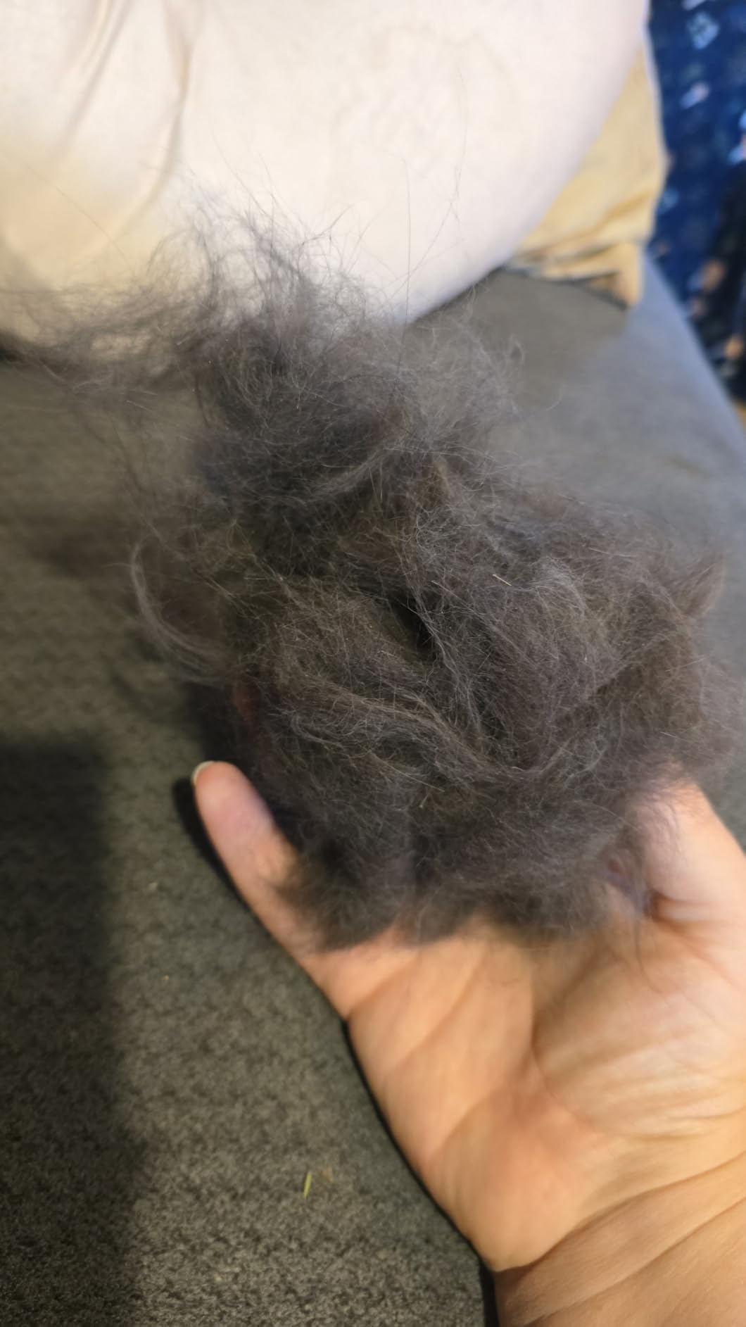 BOTH WINNERS Dual-Sided Shedding Blade with Stainless Steel Blade De-Shedding Tool for All Dog Coat Types- Soft Touch Grip (Burgundy) customer photo 2