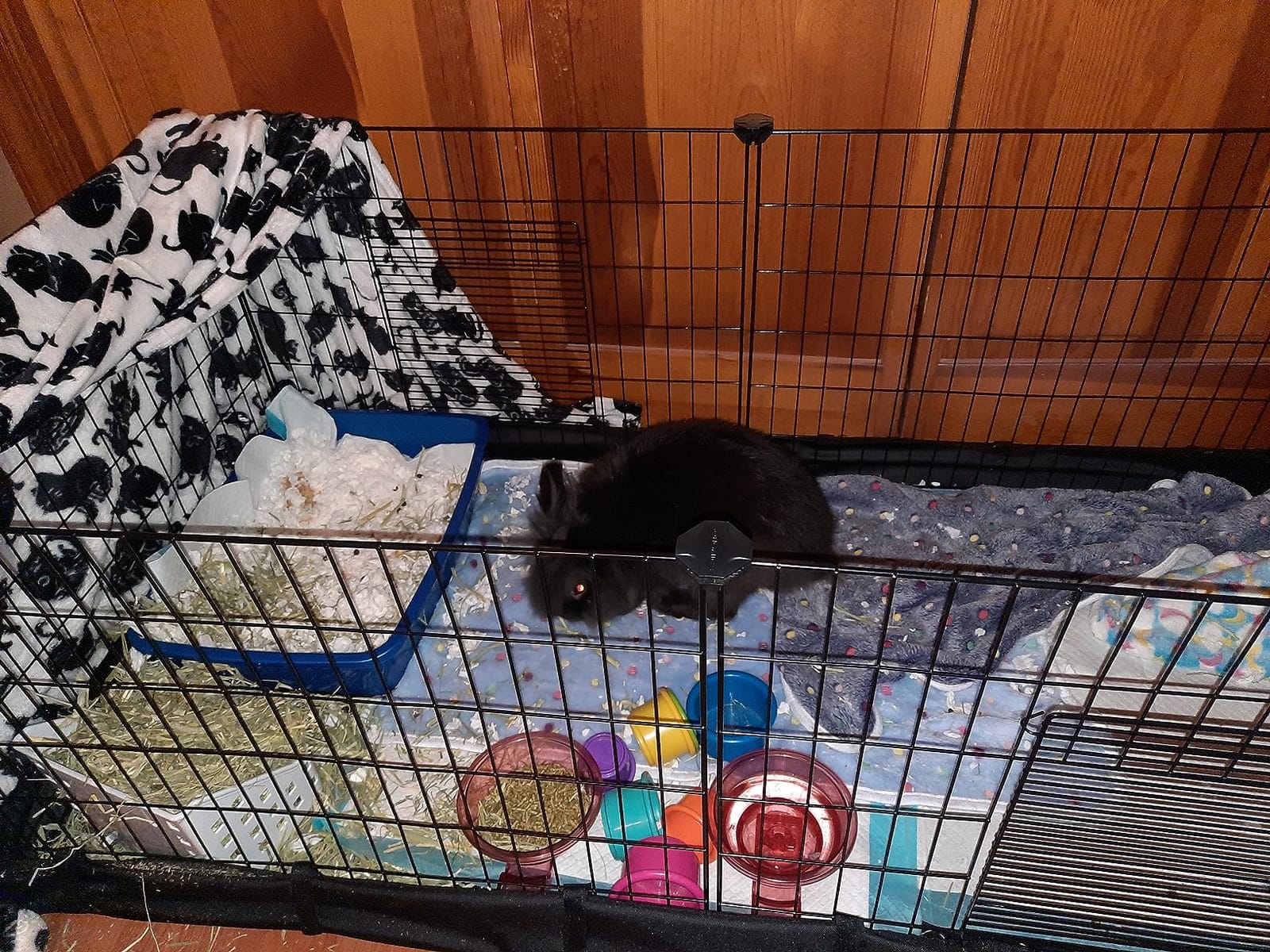 SONGMICS Guinea Pig Cage, Small Animal Playpen with Washable Liner customer photo 2