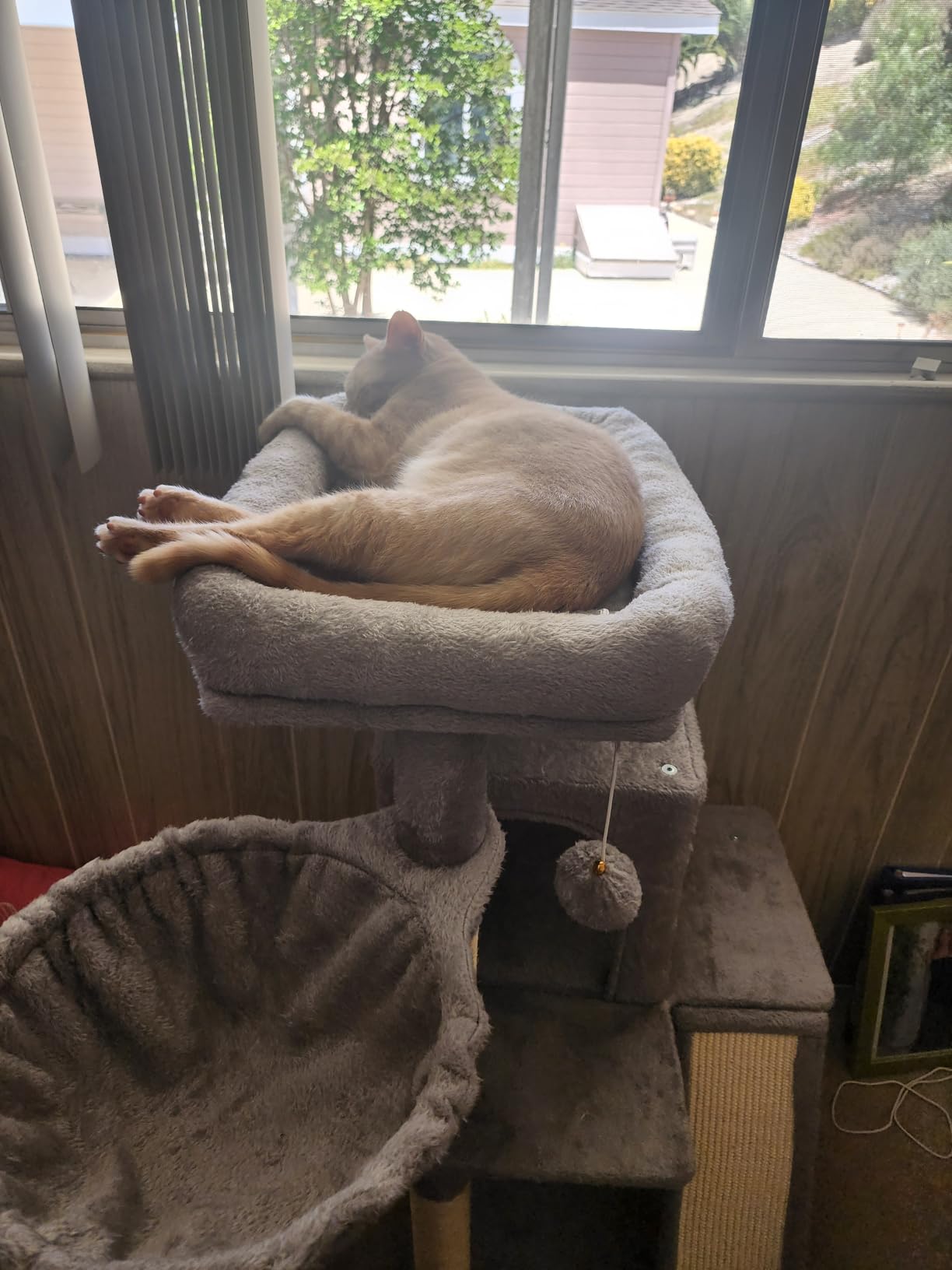 Yaheetech 40in Cat Tree for Indoor Large Cats with Large Top Perch customer photo 2