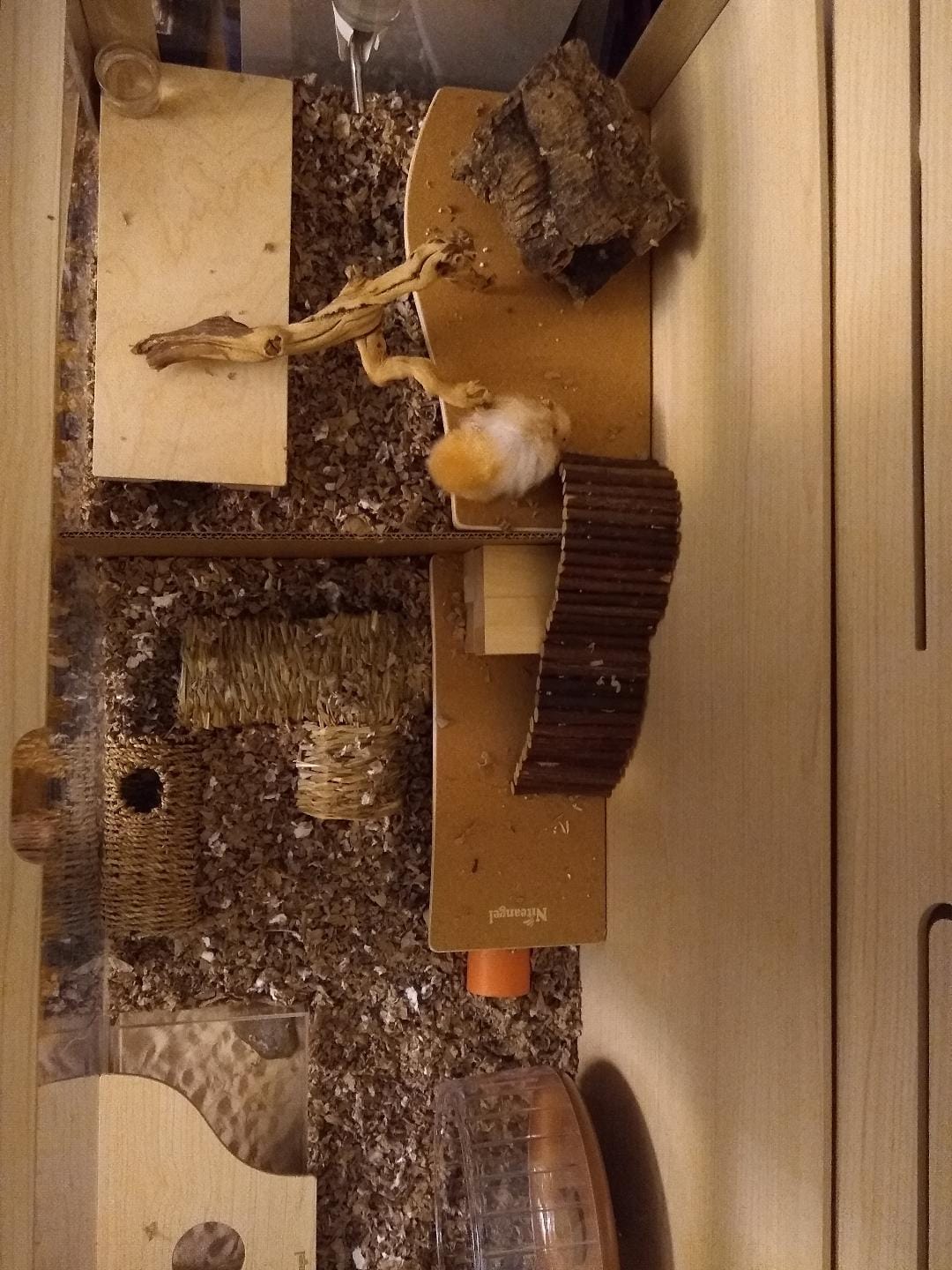 Niteangel Bigger World - MDF Aspen Terrarium for Hamster Gerbils Mice Lemming Degus or Other Small-Sized Pets(30 x 15 x 17.7 inches, Burlywood) customer photo 1