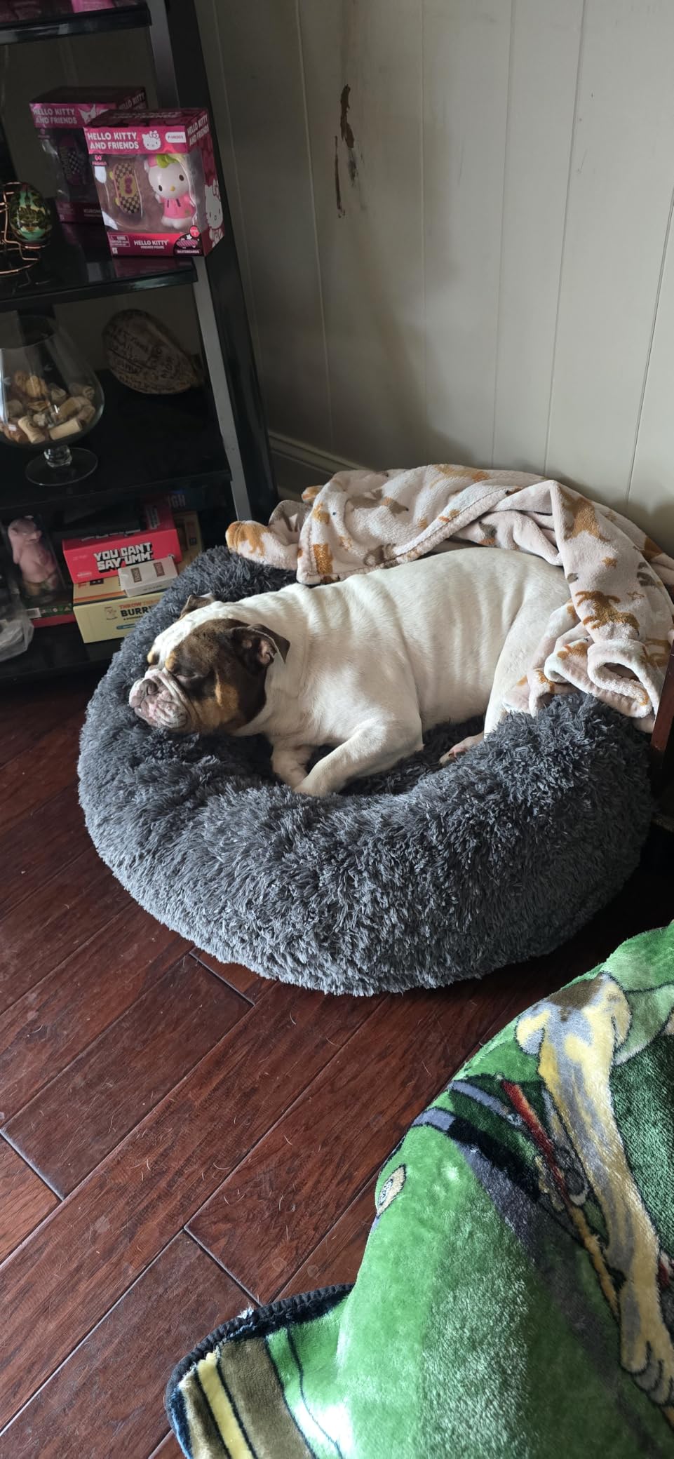 Bedsure Calming Small Dog Bed Donut Washable Cat&Puppy Bed,23 inches Camel customer photo 1