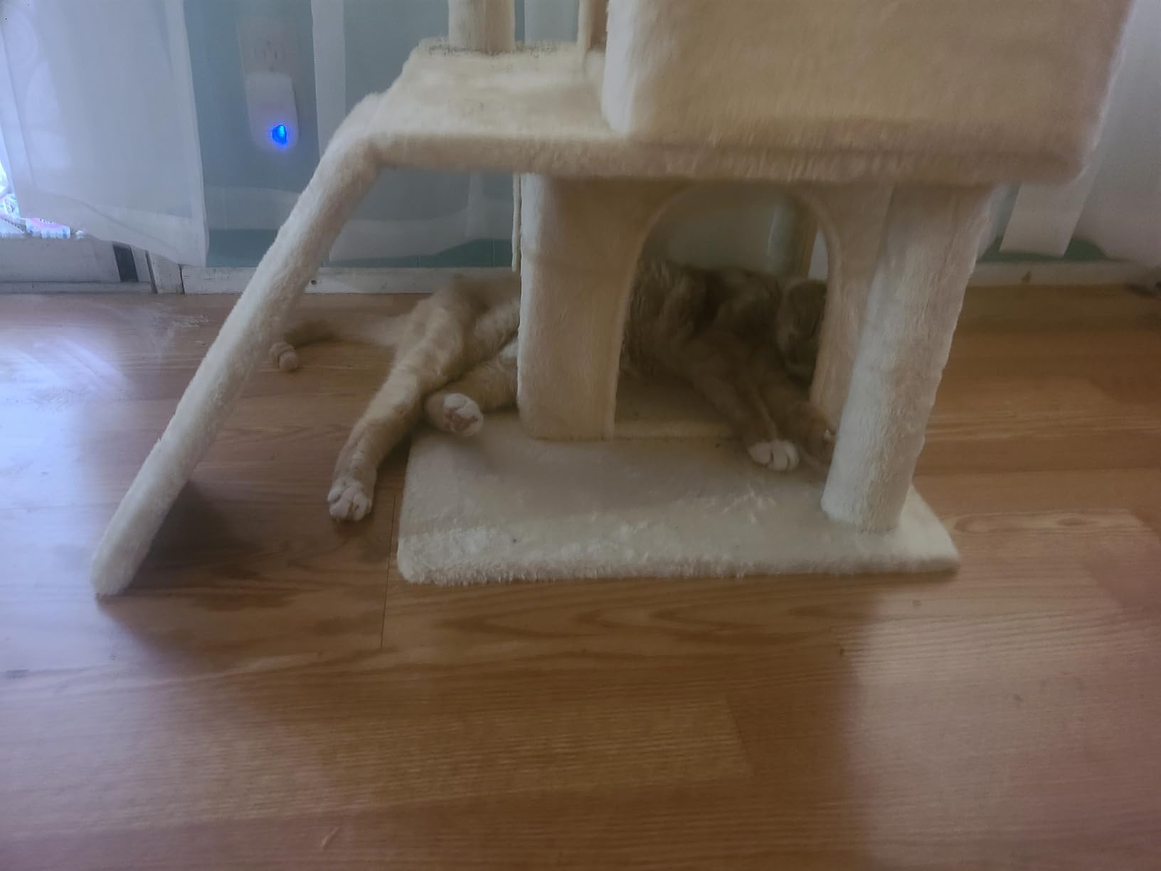 Yaheetech 36in Cat Tree Tower with Large Perch for Senior Kittens customer photo 1