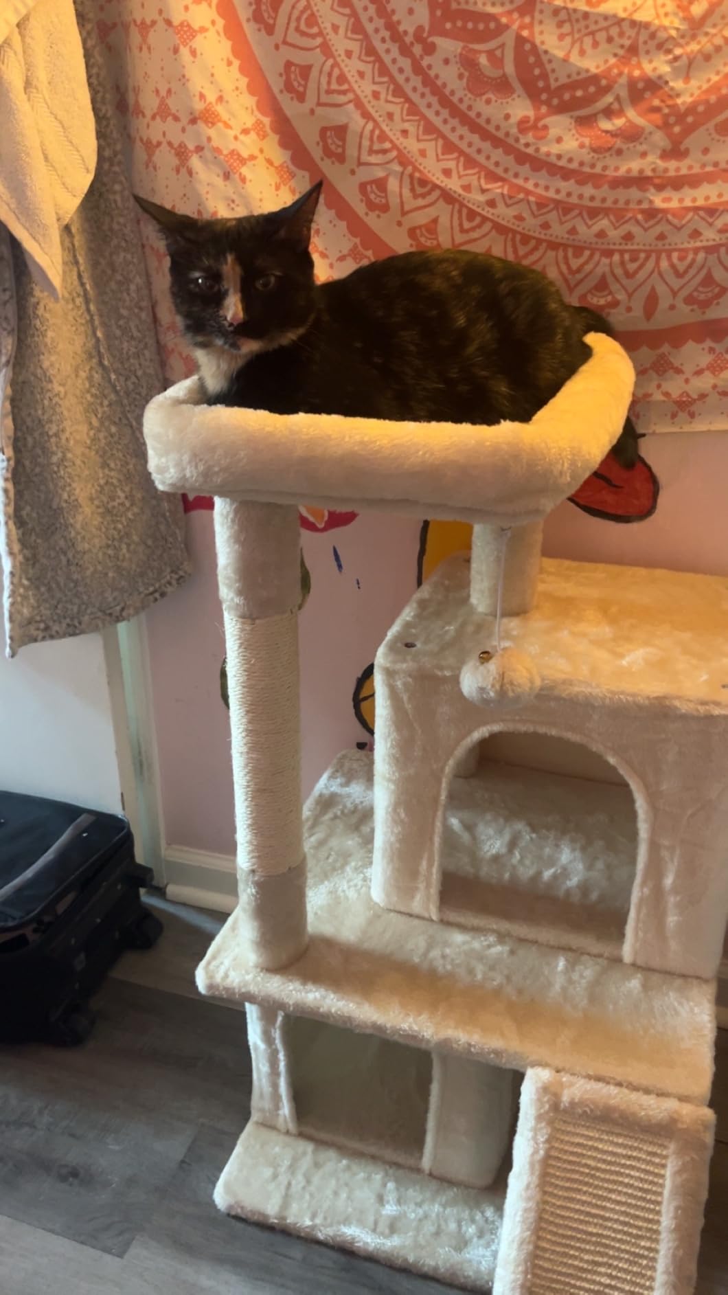 Yaheetech 36in Cat Tree Tower with Large Perch for Senior Kittens customer photo 2