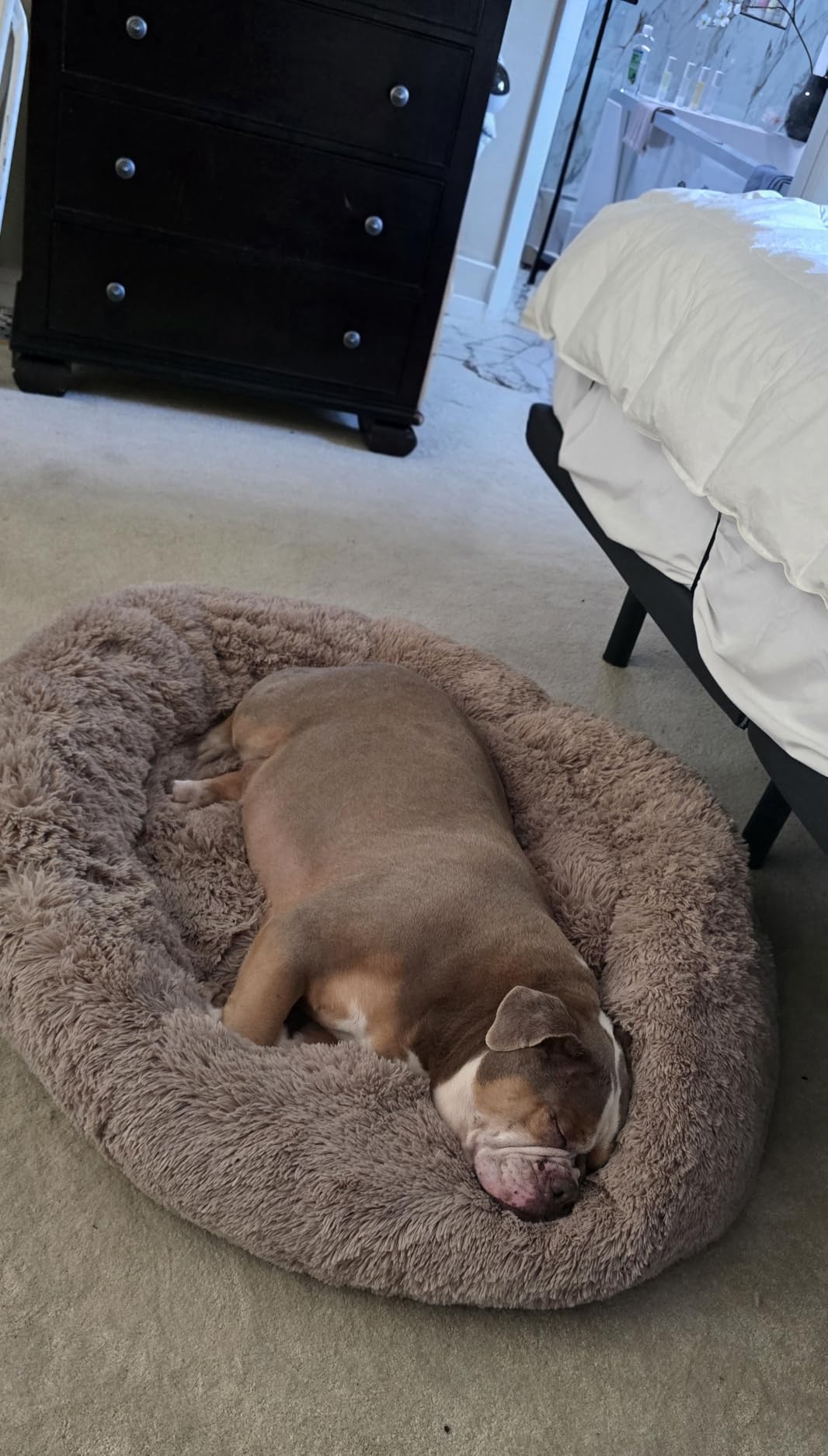 Bedsure Calming Dog Bed Medium Size Dog Donut Washable Pet Bed,30ins customer photo 2