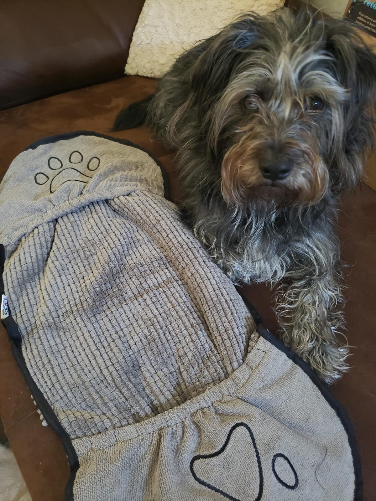 Dog Gone Smart The Dirty Dog Shammy Bath Towel - Pacific Blue, 31×13 in customer photo 2