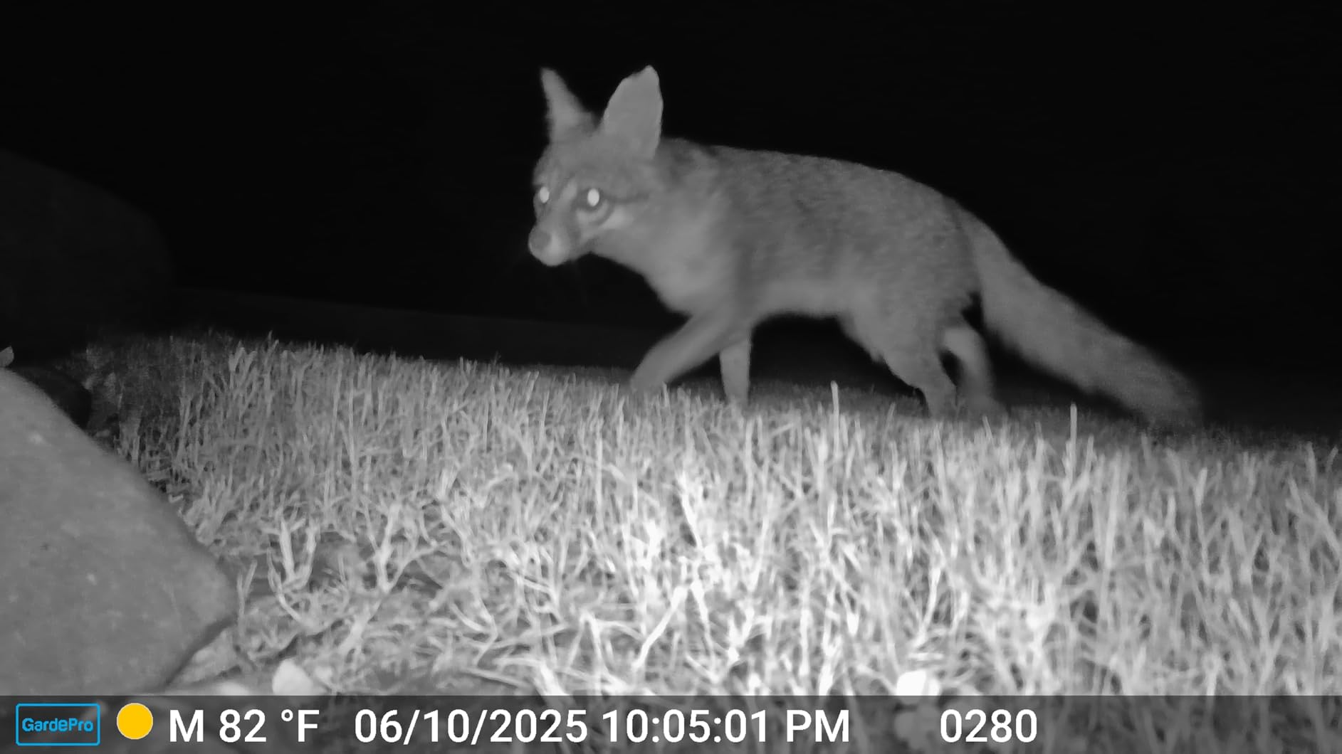GardePro E6 WiFi Trail Camera, Stable WiFi with External Antenna customer photo 1