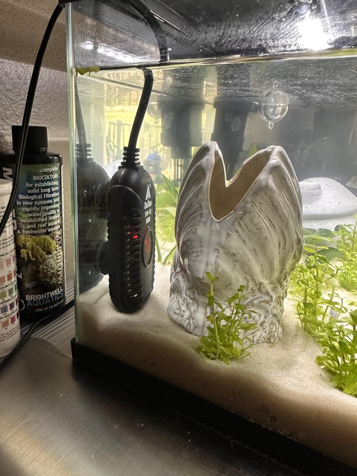 DaToo Small Aquarium Heater 50W Mini Fish Tank Heater 50 Watt Submersible with LED Temperature Display customer photo 2