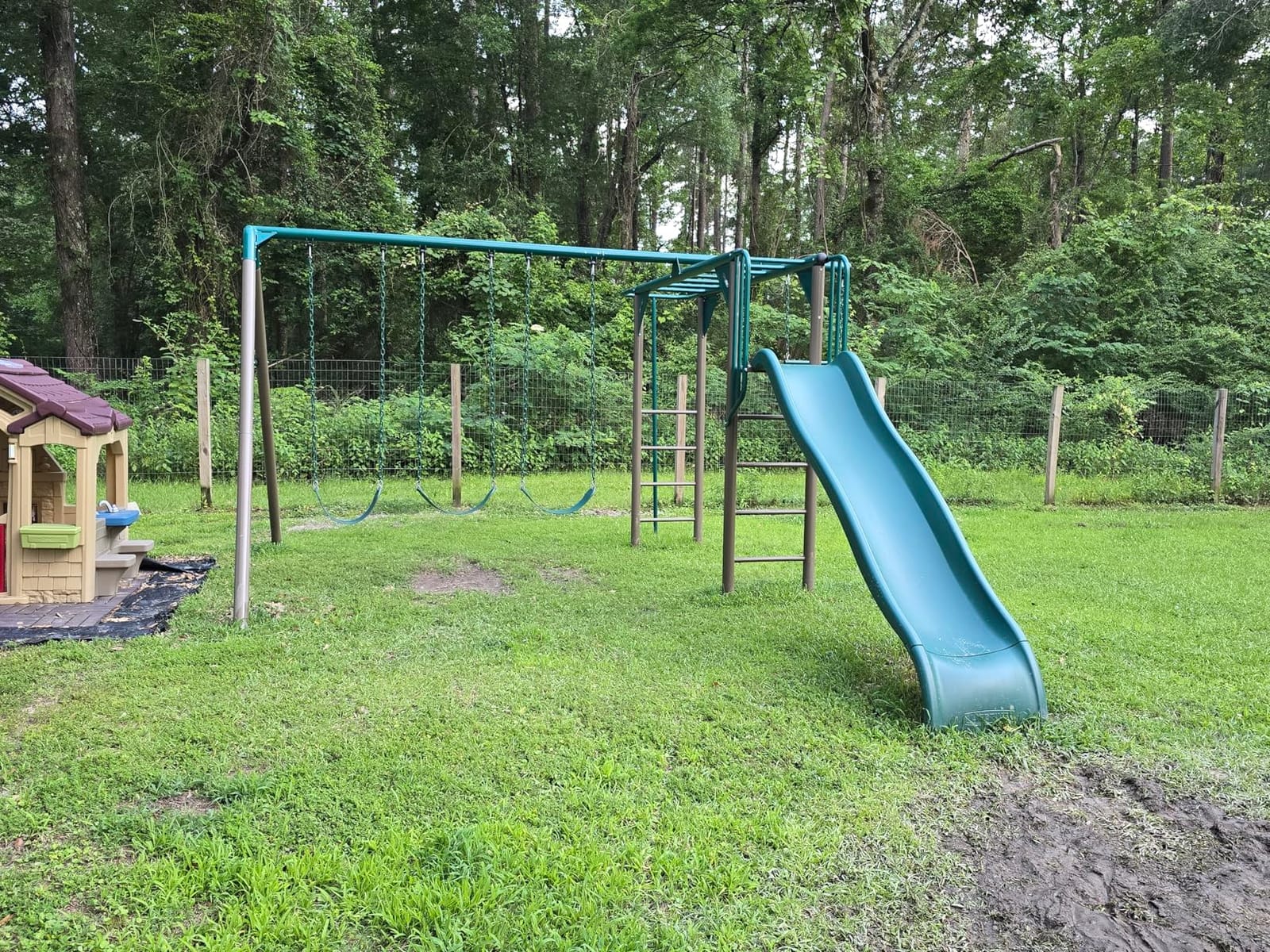 Lifetime 91022 Monkey Bar Adventure Swing Set, Primary customer photo 1